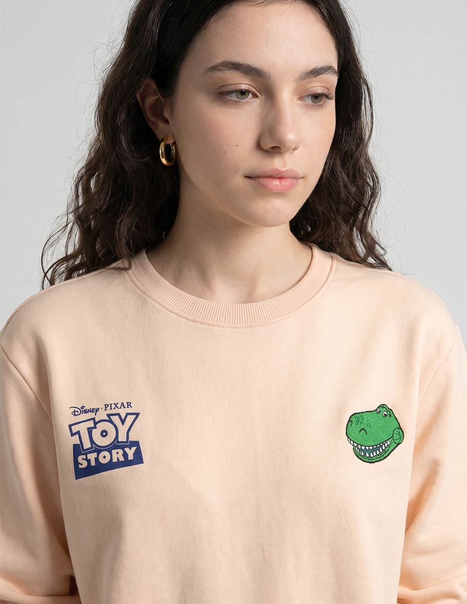 Sudadera Disney Dtr